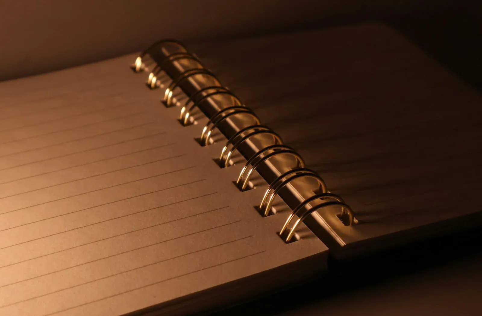 A blank lined notebook in warm light, used as an editorial illustration of checking and recording sources.