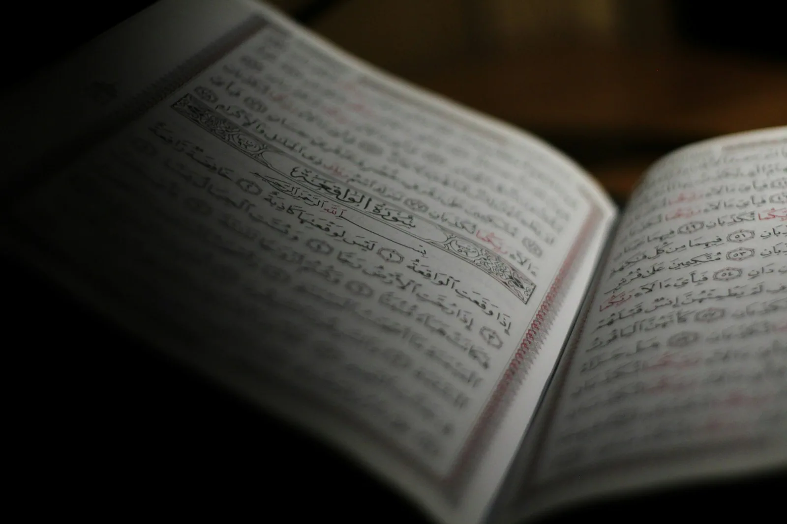 An open Quran, its Arabic text illuminated by soft light